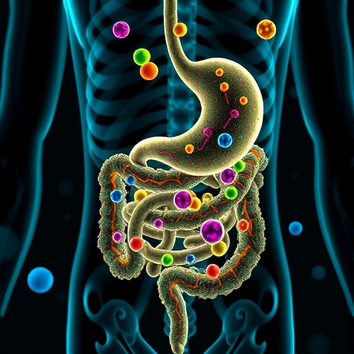 Fasting Boosts Gut Microbiome for Better Intestinal Recovery Post-Radiation