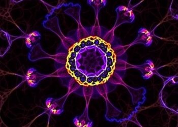Ferroptotic propagation: from single-cell execution to tissue-scale death programs
