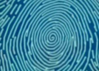 First visual focus in new places is as unique as fingerprints