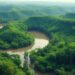 Flexible Payments for Environmental Services Boost Cost-Effectiveness in Brazilian Amazon