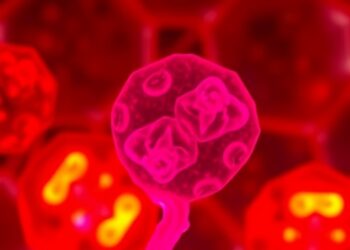 FOXM1 Inhibition Enhances Maturation of Human iPSC-Derived Liver Cells