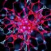 Fractionated Proteomics Uncovers Protein Network Reducing Exercise-Induced Muscle Damage