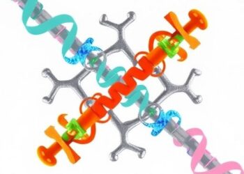 From Cuts and Folds to New Linkages in Science Breakthrough