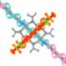 From Cuts and Folds to New Linkages in Science Breakthrough