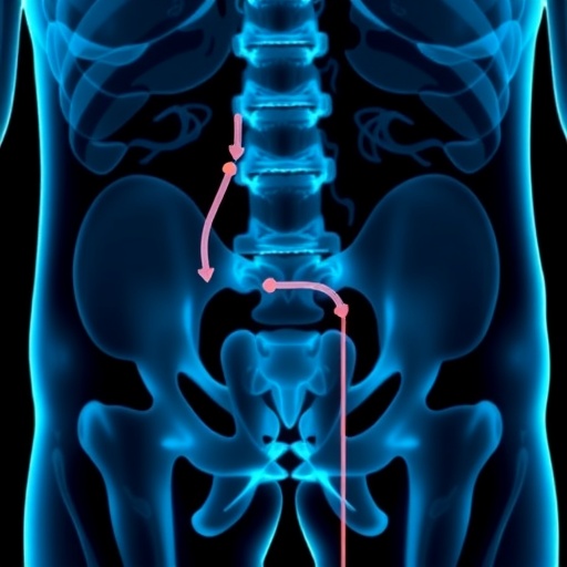 G8 tool predicts surgery risks and survival in elderly with urothelial cancer