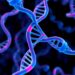 Genetic Makeup Predicts Cancer Patients’ Benefits and Side Effects from Immunotherapy