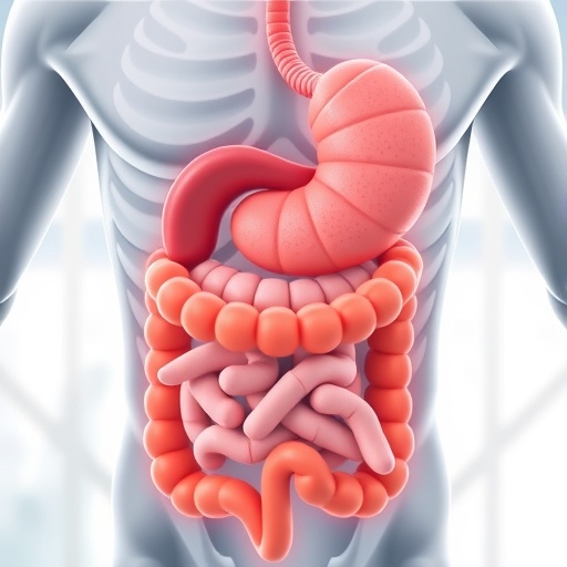 Genetic Study Connects IBS to Lipid Metabolism and Triglyceride Control