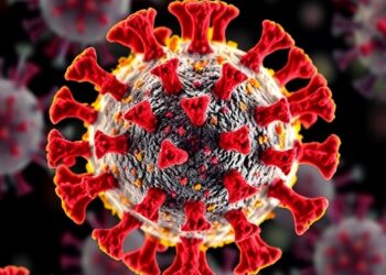 Genome-wide screen finds host-targeted drugs and SARS-CoV-2 pro-viral pathways
