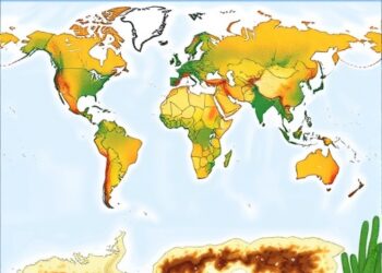Global Tidal Wetland Soil Organic Carbon Patterns and Environmental Drivers Since 2009