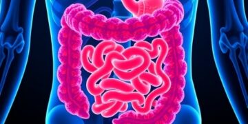 Glycocholic Acid Accelerates Colitis by Suppressing Intestinal Stem Cells