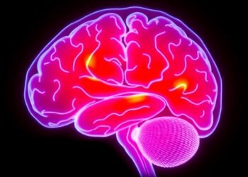 Grant Funds Brain Imaging Research to Improve Post-Stroke Bladder Treatments
