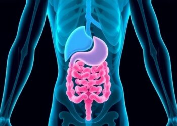 Gut microbiome changes may improve chemotherapy delivery to tumors