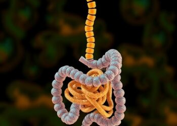 Gut Microbiome Metabolites Shape Development of Stress-Related Mental Disorders