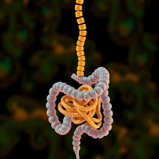 Gut Microbiome Metabolites Shape Development of Stress-Related Mental Disorders