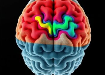 Hierarchical Framework Enables Cortical and Subcortical Brain Parcellation Across Species