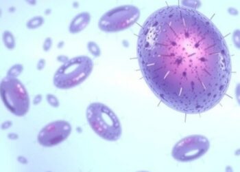 Hypothermic Preservation Extends Function in Aging Isolated Hepatocytes
