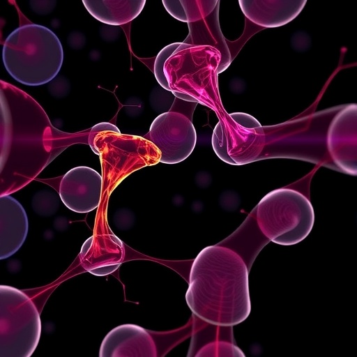 In vitro models engineered to mimic chronic wound complexity