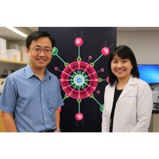 KAIST Finds Molecular Switch Activating Cell Growth Signaling for Anticancer Therapy