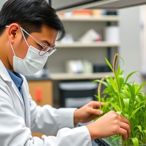 KAUST Researchers Create More Precise Method for Engineering Plants