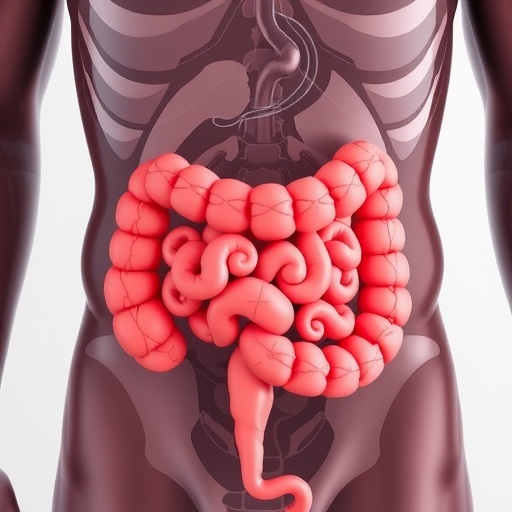 Ketogenic Diets May Raise Small Intestine Cancer Risk, Study Suggests