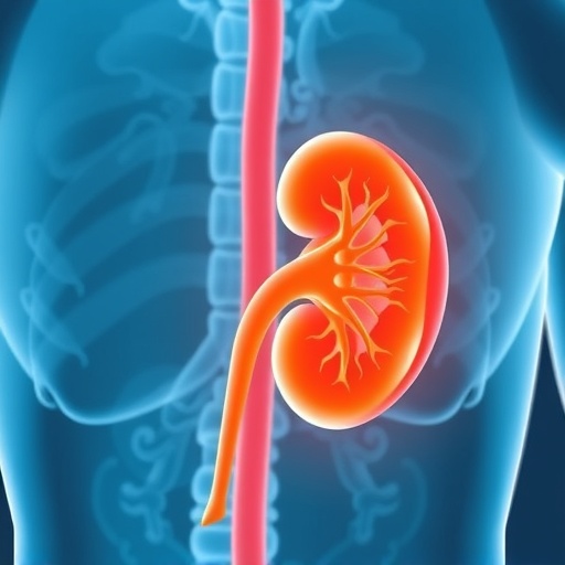 Kidney Disease Rates Stable, Increasing Among Diabetes and Heart Patients in US