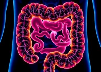 KIMS Advances Plasmonic Liquid Biopsy for Early Colorectal Cancer Detection
