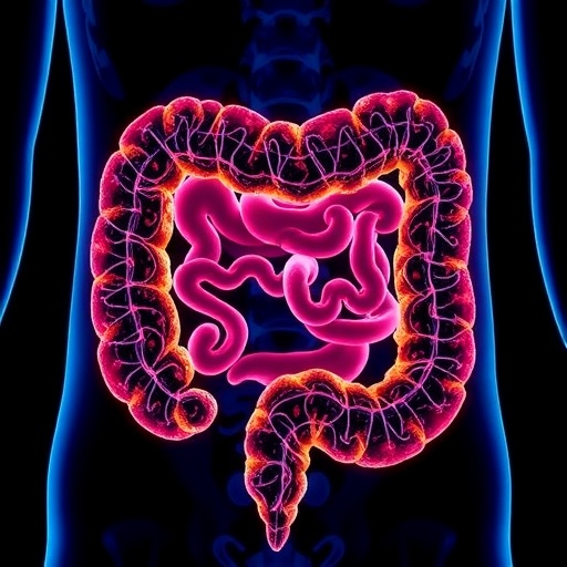 KIMS Advances Plasmonic Liquid Biopsy for Early Colorectal Cancer Detection