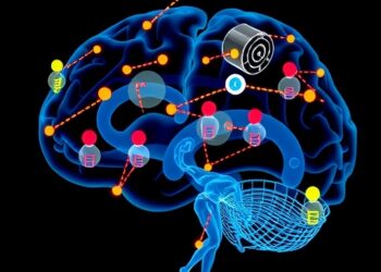 Kinesiophobia Profiles Linked to Exercise and Fall Risks in Older Diabetics