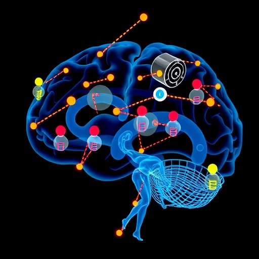 Kinesiophobia Profiles Linked to Exercise and Fall Risks in Older Diabetics