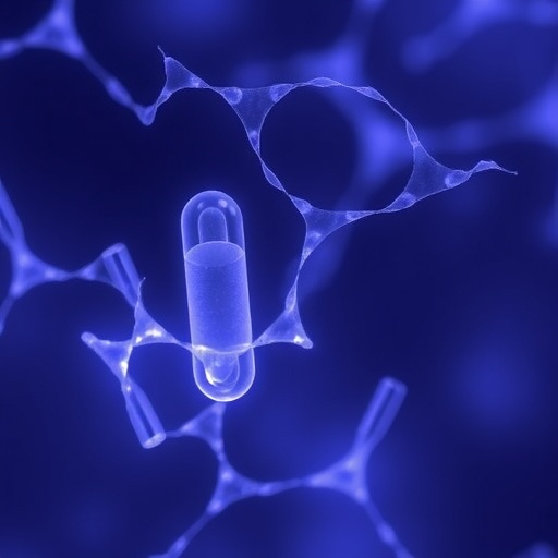 Klebsiella pneumoniae Suppresses Blood Vessel Dilation via Capsule and T6SS