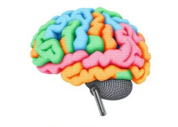 Low-Burden AI Identifies Cognitive Decline Early Across Countries Using Real-World Surveys