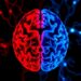 MANF in the lateral septum controls ER function during chronic stress