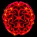 Massey researchers uncover pathway that could transform glioblastoma treatment options