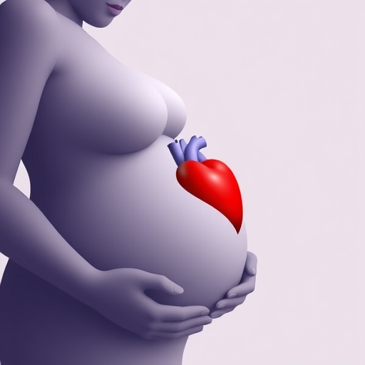 Maternal Heart Health During Pregnancy Linked to Child Cardiovascular Traits