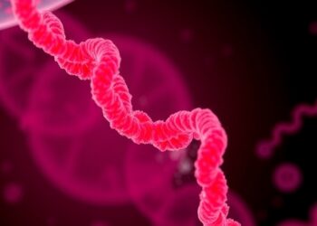 Maternal Hyperglycemia Drives Offspring mtDNA Release via CaMKIIδ O-GlcNAcylation