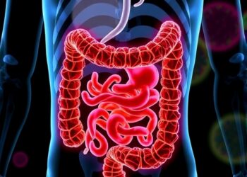 McMaster scientists deploy harmless viruses to fight inflammatory bowel disease