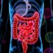 McMaster scientists deploy harmless viruses to fight inflammatory bowel disease