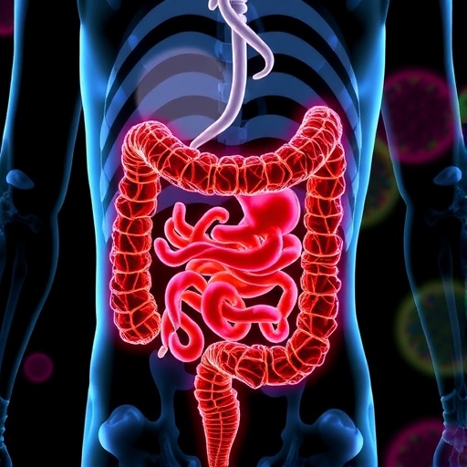 McMaster scientists deploy harmless viruses to fight inflammatory bowel disease
