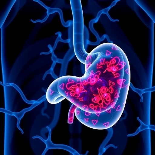 Melbourne Consensus Offers Framework and Expert Guidance on Pancreatic Fat Accumulation