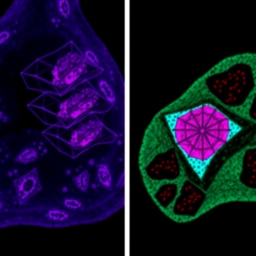 Merlin Deficiency Promotes Immunosuppression in Breast Cancer Environment