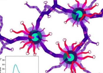 Metabolite Glues Enable Purine Sensing and Predict Chemotherapy Response