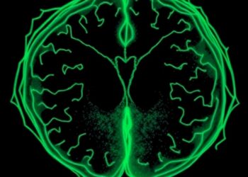 Microglia Shape Developing Cortical Blood Vessels via PD-1 Signaling