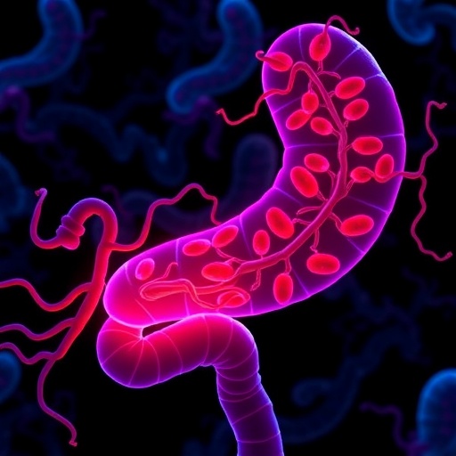 Mitochondrial Dysfunction and Mitophagy: How They Evolve in Necrotizing Enterocolitis