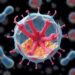 Molecular Rotors Map the 3D Viscous Habitat of Mucus-Gliding Bacteria