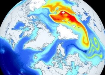 Multiyear Arctic Sea Ice Forecast Linked to Atlantic Ocean Circulation Changes