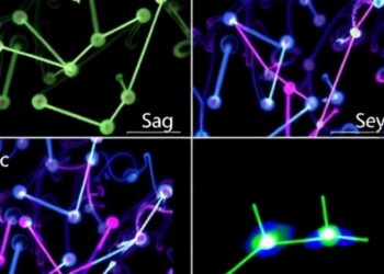 Nanoneedle Arrays Enable Sequencing-Free Spatial Profiling of Fresh Tissue Regulation