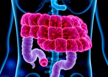 Nebraska Study Links Gut Microbe to Cancer-Fighting Immune Response