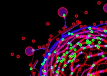 New Discoveries in Eosinophil Subtypes Reveal Potential Therapeutic Targets