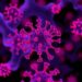 New journal Advanced Immunology aims to decode immune system workings.