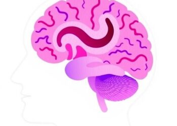 New Study Uncovers Biology Behind Glioma Cancer Progression